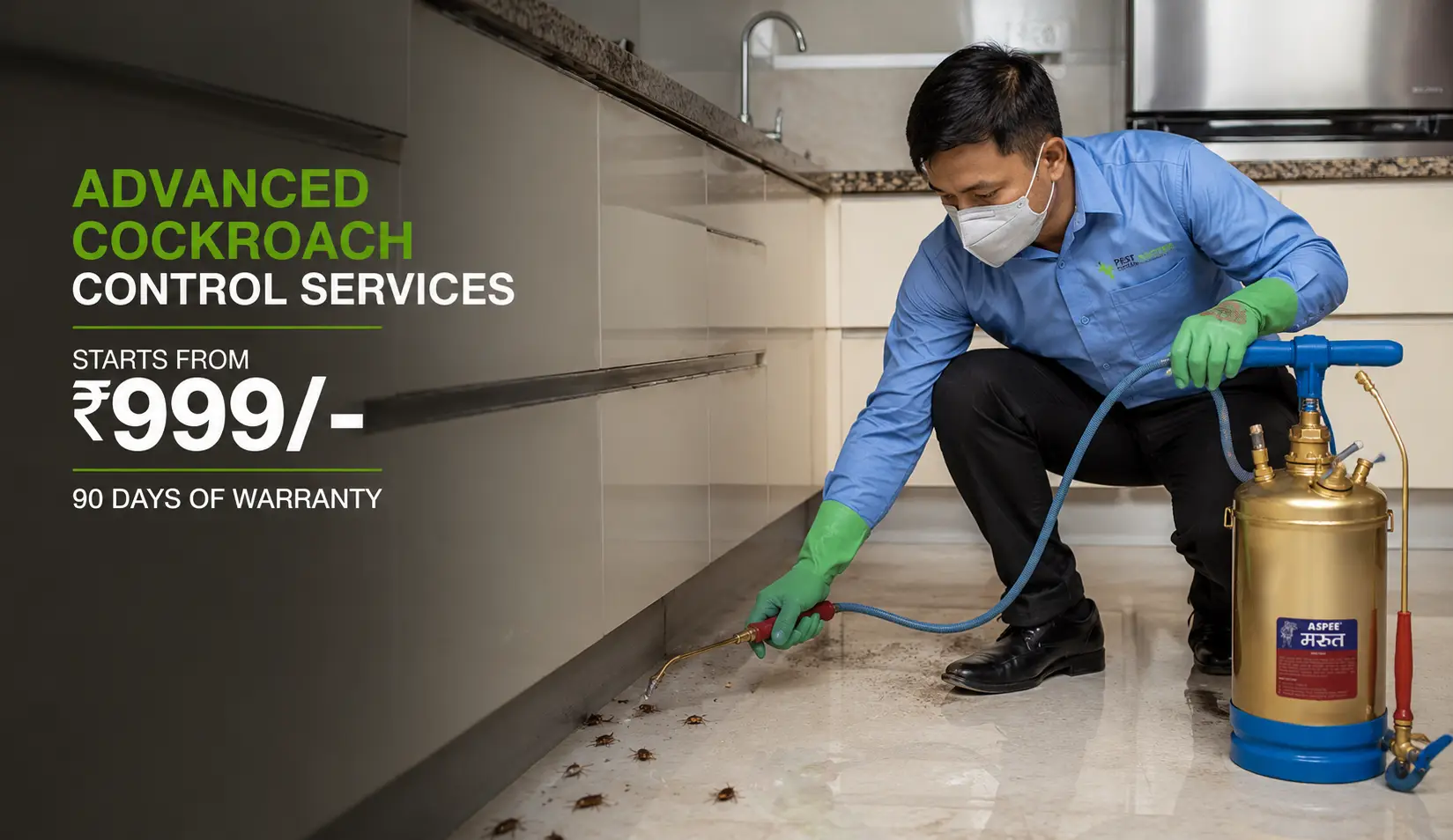 Professional pest control service in Bengaluru