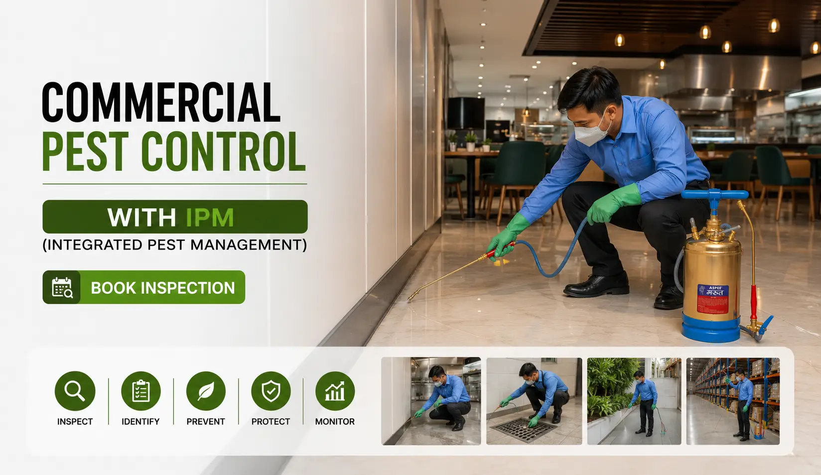 Termite, cockroach and mosquito control experts in Bengaluru